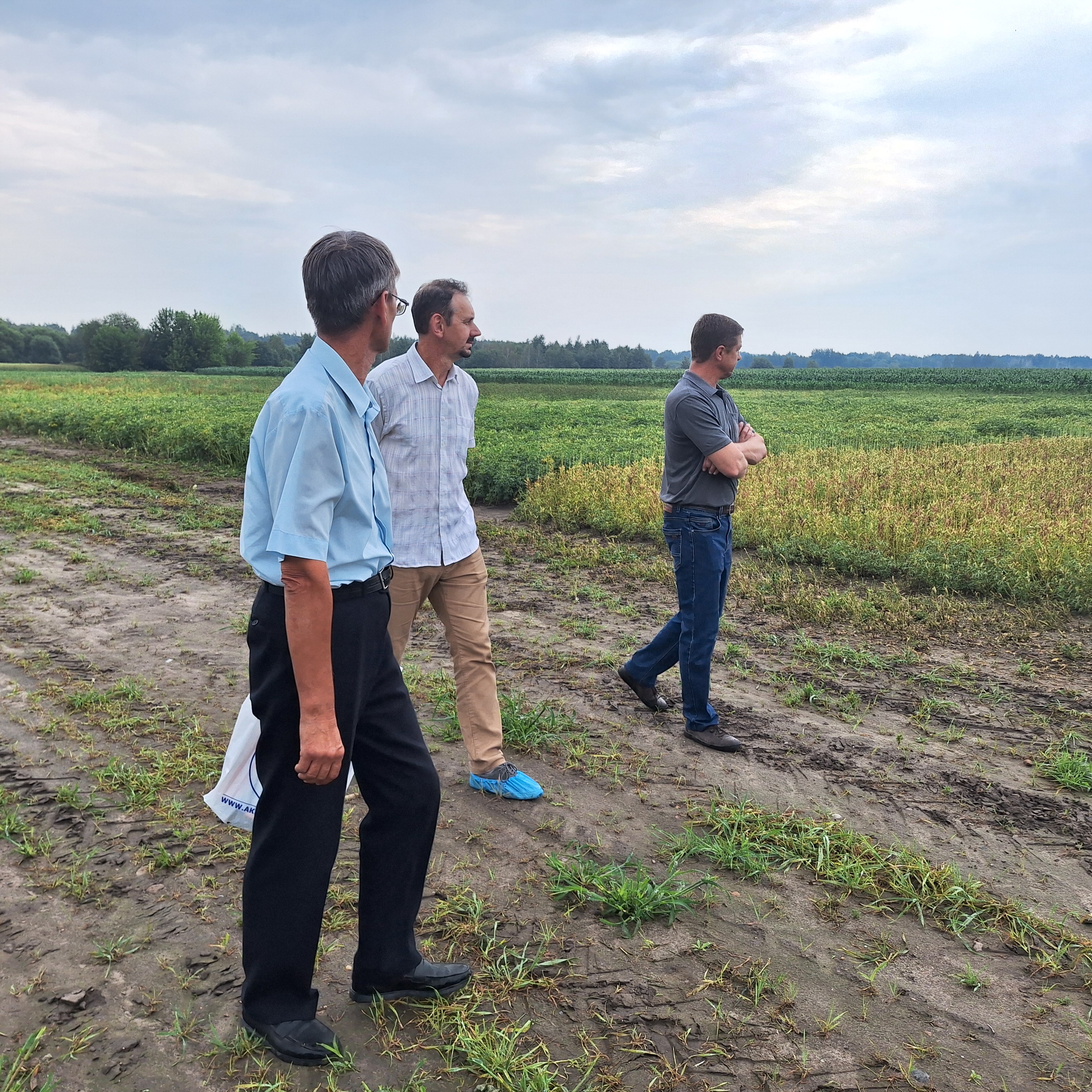 Приёмка опытов