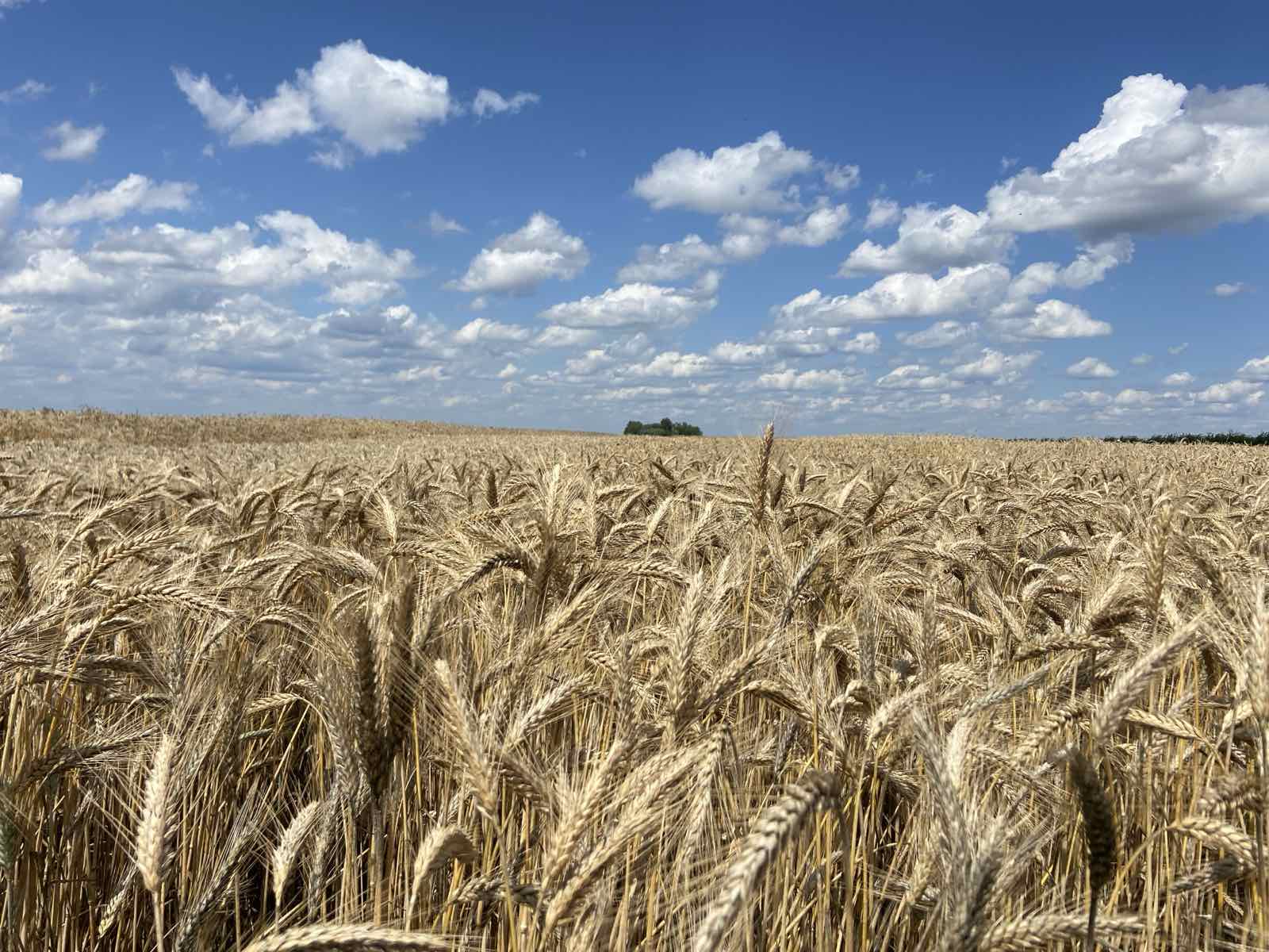 Один день на РУП 